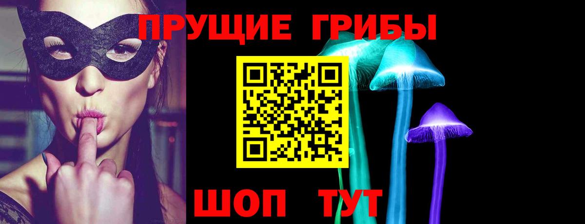 Киров  Галлюциногенные грибы Psilocybe  Вход с VPN 